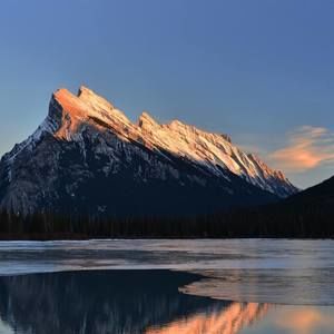 Meet your Posher, Tanner